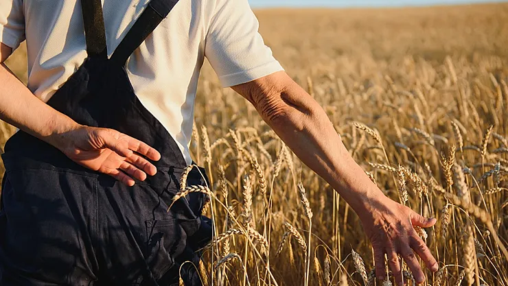 ÇKS Belgesi Olanlar Nelerden Faydalanabilir?