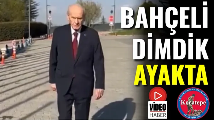 Bahçeli Dimdik Ayakta