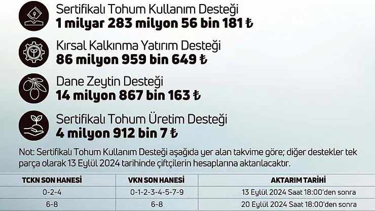 Devlet Paraları Hesaplara Yatırıyor