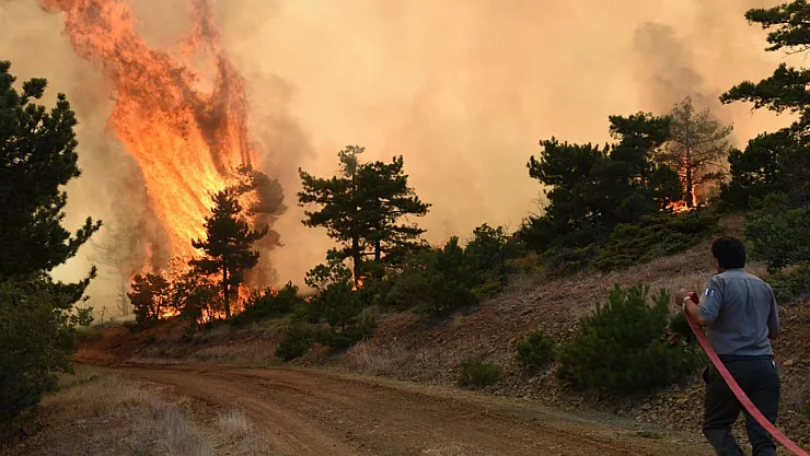 Dikkat! Ormanlık alana giriş yasak