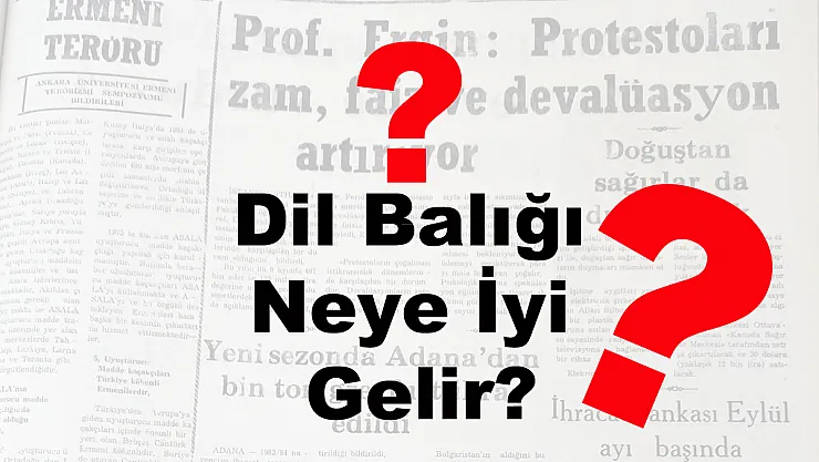 Dil Balığı Neye İyi Gelir?