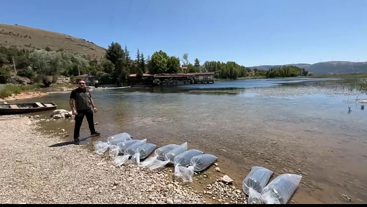 Dinar'da Baraj Ve Göletlere 205 Bin Yavru Balık Salındı