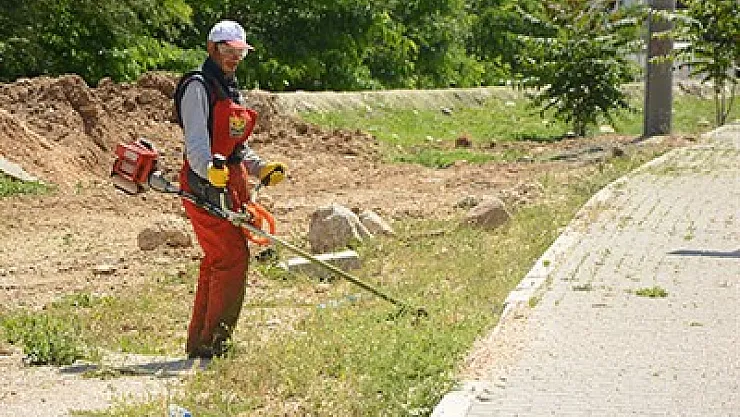 Dinar’da yabani ot temizliği sürüyor