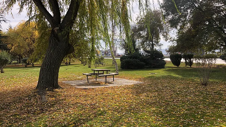 Dökülen Yaprakla Kartpostallık Görüntüler Oluşturdu