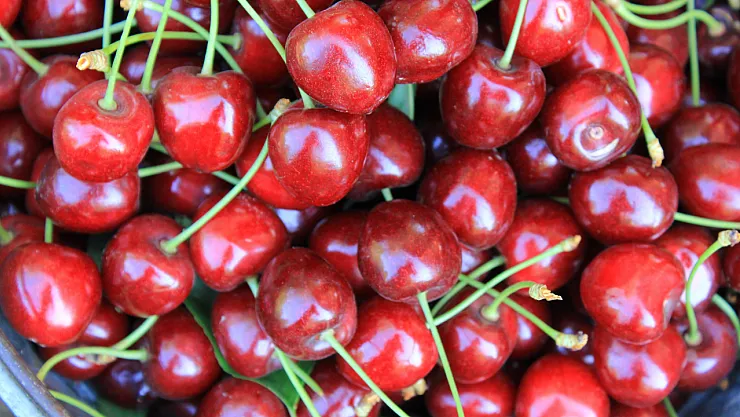 Dondurulmuş Kirazda Da Dünya Lideriyiz
