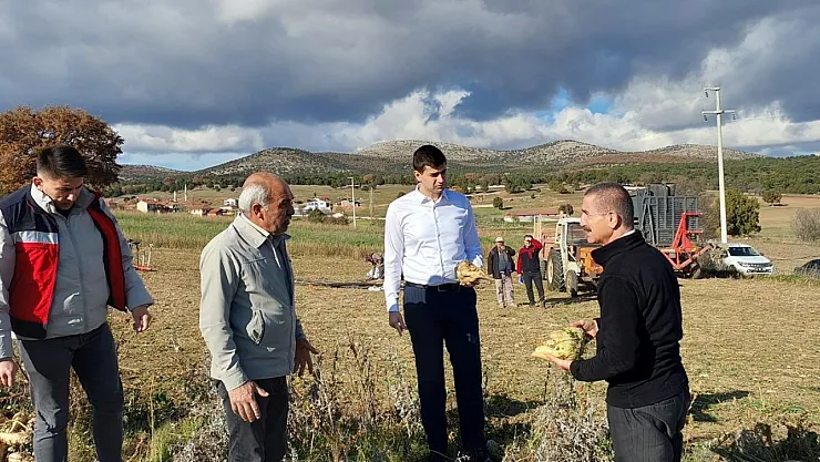 Dumlupınar Kaymakamı Teltik, Şeker Pancarı Hasadını Yerinde İnceledi