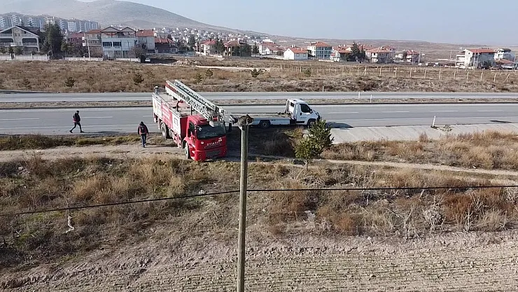 Elektrik direğinin tepesinde mahsur kalan kediyi itfaiye kurtardı