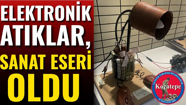 Elektronik Atıklar, Sanat Eseri Oldu