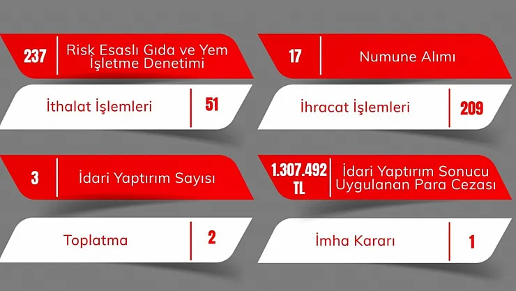 Eskişehir'de 237 İşletmeye Denetim