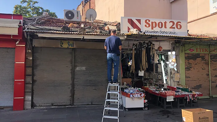 Eskişehir'de Esnaf Hergün Çatıya Tırmanıp Kedileri Besliyor