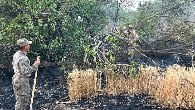 Eskişehir'den Bilecik Yangınına Giden Jandarma Ekipleri Döndü