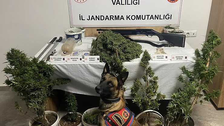 Ev Ve İşyerlerinden Neler Çıktı