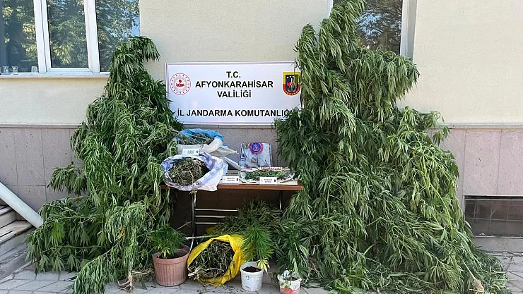 Evlerinde Kenevir Yetiştiren Şahıslar Gözaltına Alındı