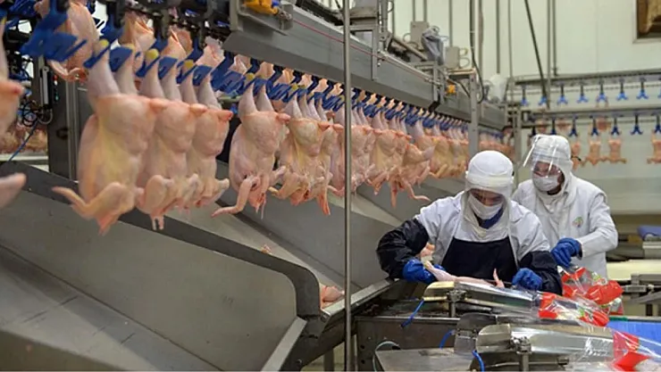 Fahiş Fiyatlara Bakanlık Neşteri! 8 Firmaya Ceza! Afyon Etkilenir Mi?