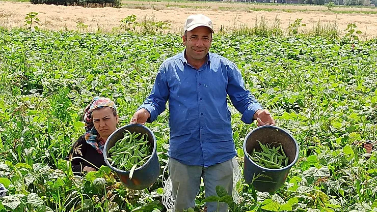 Fasulye toplayan işçiler yevmiyelerin artırılmasını istiyor