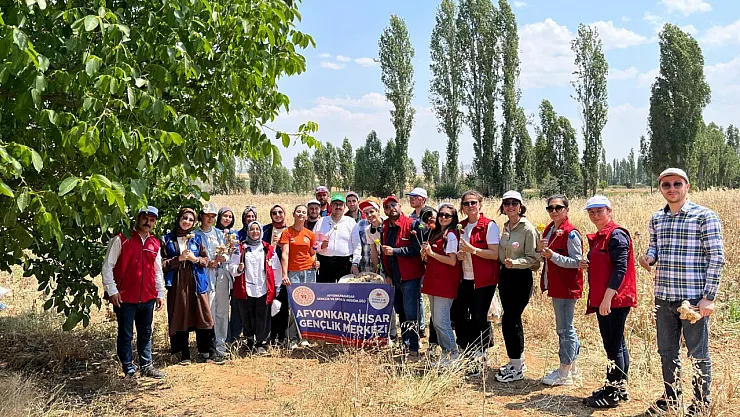 Gençlik Merkezi, Haşhaşın Merkezinde Haşhaş Hasatına Katıldı