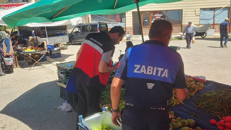 Gıda Denetimi
