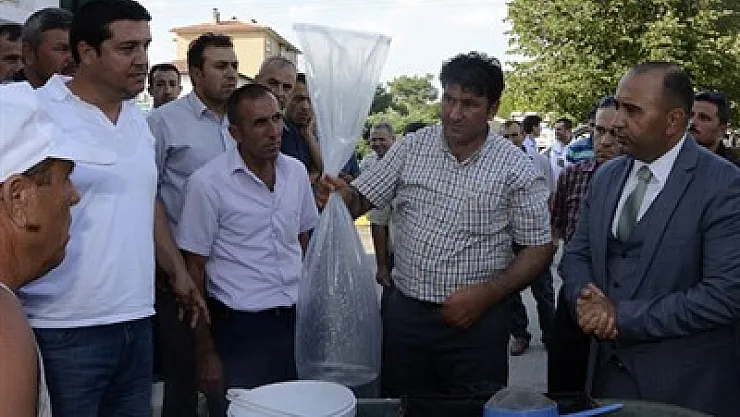 Göl ve göletlere balık bırakıldı