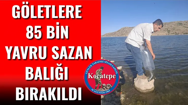 Göletlere 85 Bin Yavru Sazan Balığı Bırakıldı