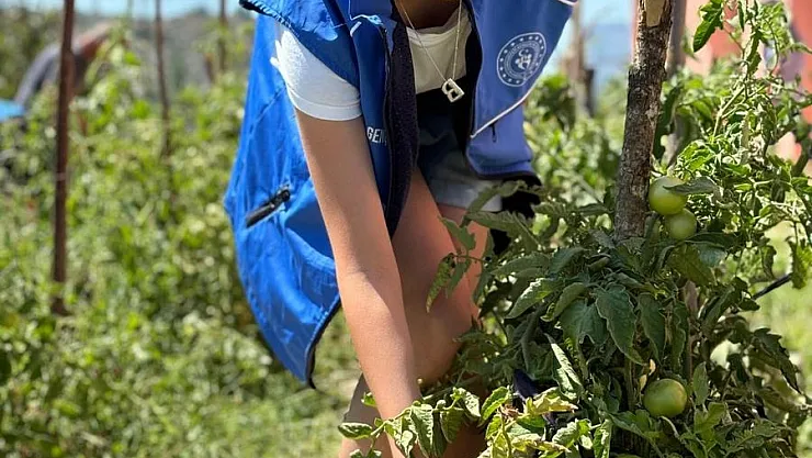 Gönüllü Gençler Ekip Büyüttükleri Mahsulleri İhtiyaç Sahiplerine Dağıttı