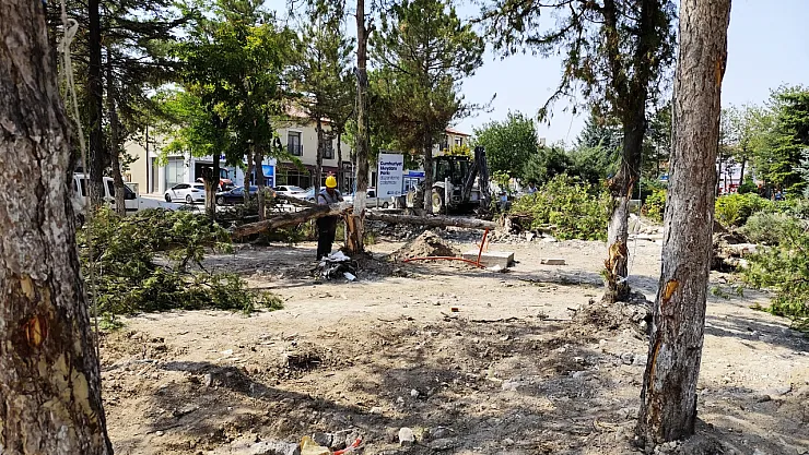 Gürhan Albayrak'tan CHP'li Belediyelere Sert Tepki: 'Güzelim Ağaçlardan Ne İstediniz?'