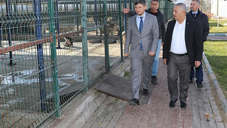 “Hayvan Bakımevi, Türkiye’ye örnek”