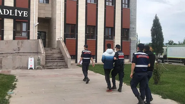 Hayvan hırsızları yakalandı
