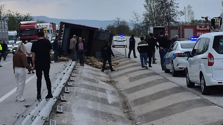Hayvan Pazarı Değil Kaza Yeri: 53 Telef, 17'si Kesildi