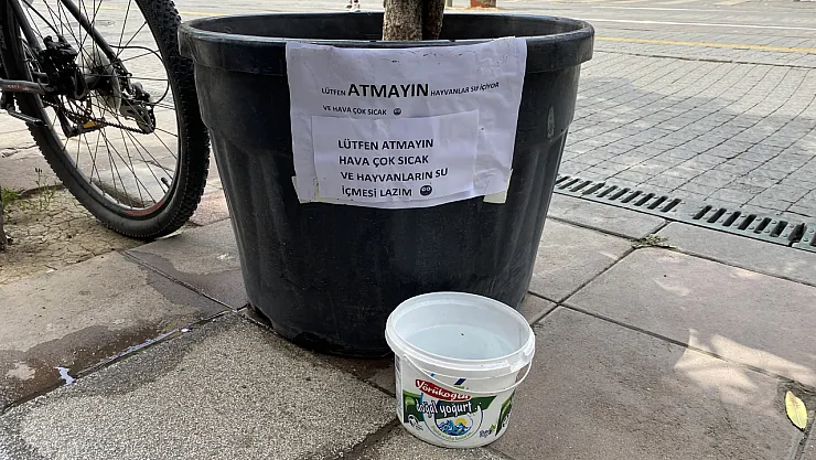 Hayvansever Vatandaşın Kibar Uyarı Yazısı Görenleri Gülümsetti