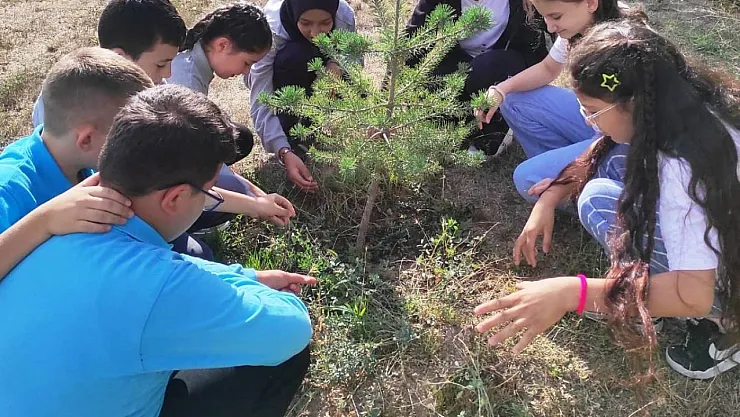 Hisarcık AİHL'de İlk Ders, 'Yeşil Vatan'