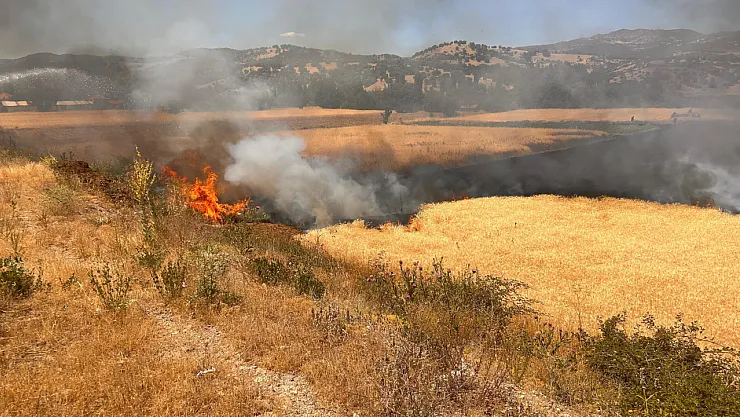 Hisarcık'ta Biçerdöver Kaynaklı Yangında 2,5 Dekar Ekili Alan Zarar Gördü