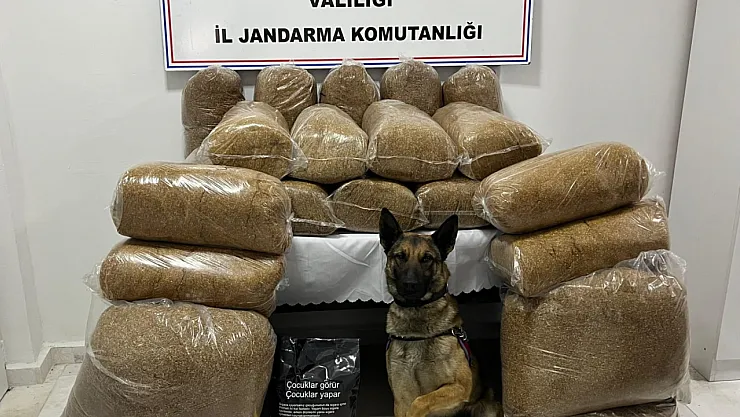İhbar Doğru Çıktı, Kaçak Tütün Yakalandı