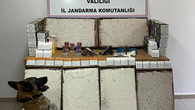 Jandarma Kaçakçılığa Geçit Vermedi