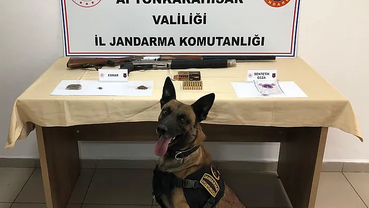 Jandarma Zehire Geçit Vermedi