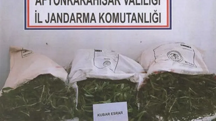 Jandarmadan uyuşturucu operasyonu – Kocatepe Gazetesi