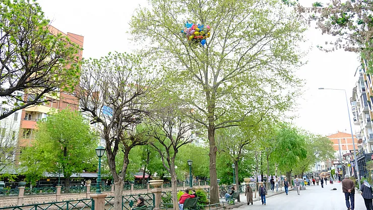 Kaçırdığı Uçan Balonlar Ağaca Takılı Kaldı