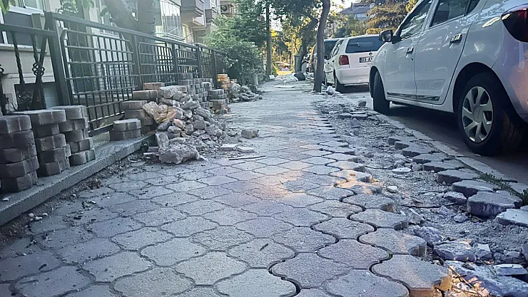 Kaldırım Mı, Survivor Mı?