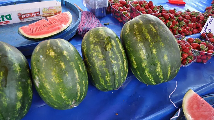 Karpuz Pazar Tezgahlarında Yerini Almaya Başladı