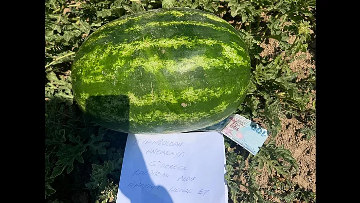 Karpuz Üreticisi Tarlasında Gördüğü Not Karşısında Duygulandı