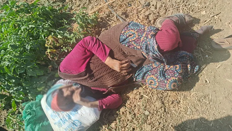 Kaybolan 74 Yaşındaki Kadın Bulundu