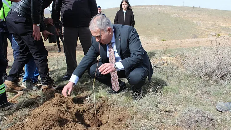 Kaymakam Duru'dan Doğaya Destek