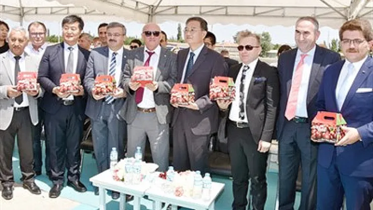 Kirazımız Çin yolunda – Kocatepe Gazetesi