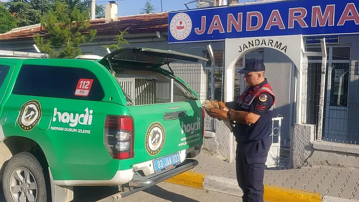 Kızıl Şahin'in de Koruyucusu Jandarma