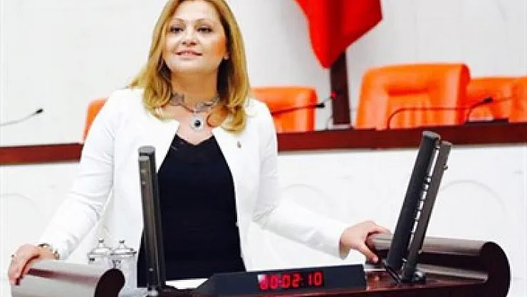 Köksal, sorunları TBMM'de dile getirdi