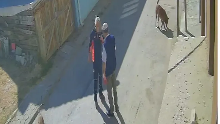 'Köpeklerimi Sen Mi Şikayet Ettin' Diyerek Yaşlı Adamı Tekme Tokat Dövdü