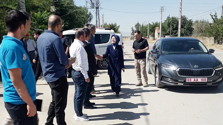 Köyden Gelen Talep: Hasta Görünümlü Sahipsiz Köpekler Toplansın