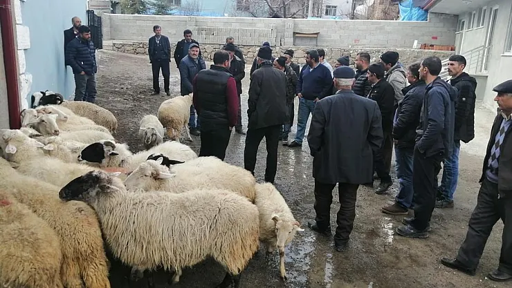Köylüler 20 koyunu açık arttırmayla satıp, depremzedelere bağışladı