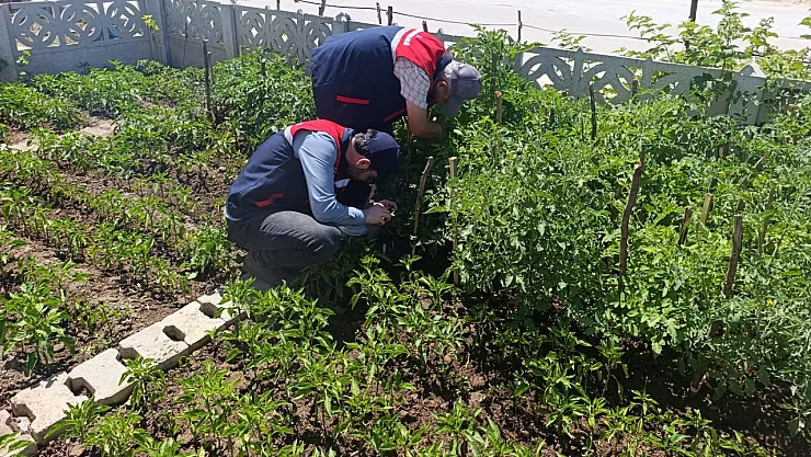Küçük Ölçekli Üreticilere Destek Veriyor