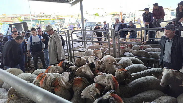 Küçükbaşa Rağbet Arttı, Pazarlıklar Kızıştı