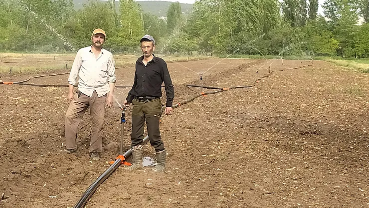Kuraklık Pancar Üreticisini Vurdu